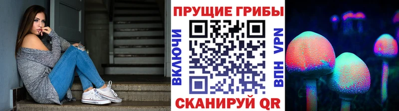 Галлюциногенные грибы мицелий  Нерчинск 